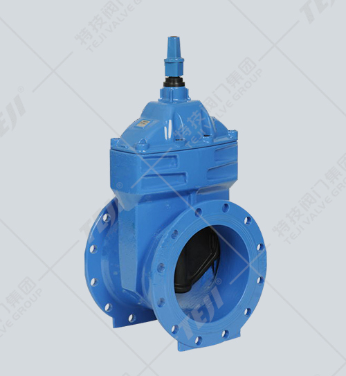 傳動(dòng)帽彈性座封閘閥