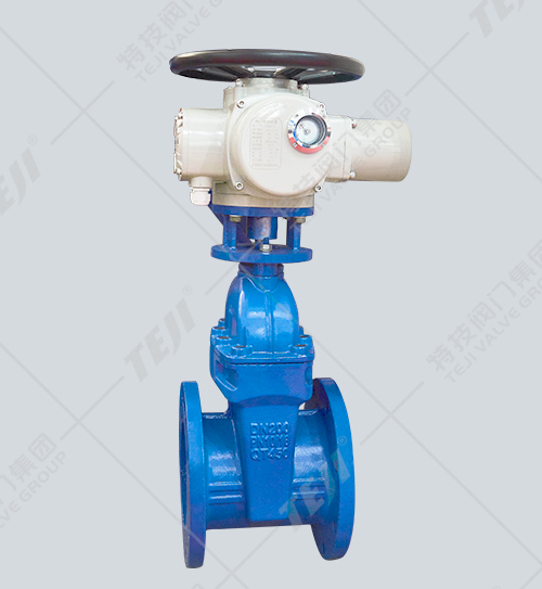 電動(dòng)彈性座封閘閥