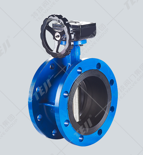蝸輪法蘭式軟密封蝶閥