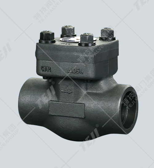 鍛鋼內(nèi)螺紋、承插止回閥