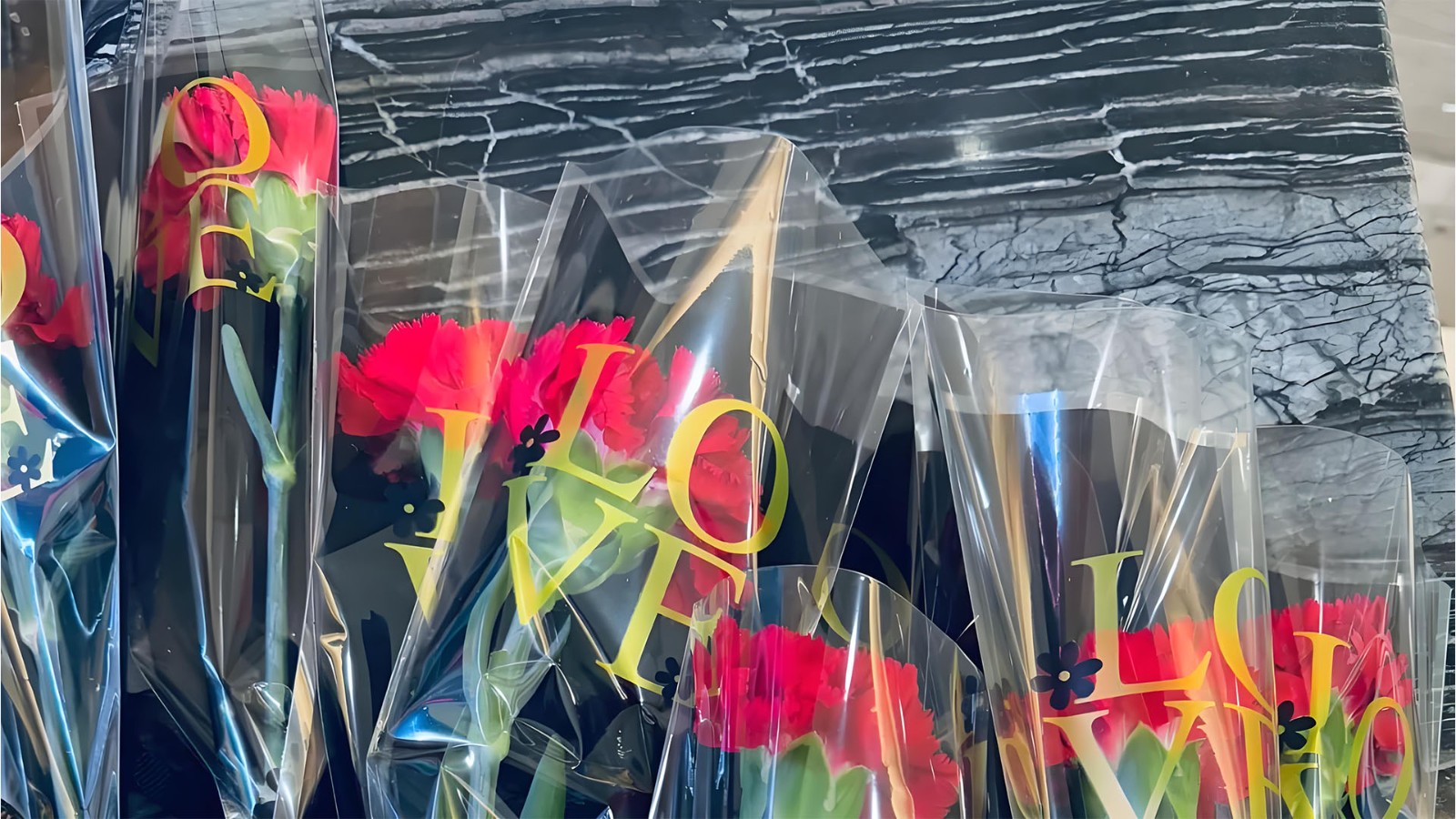 綻放巾幗風(fēng)采，共繪特技輝煌